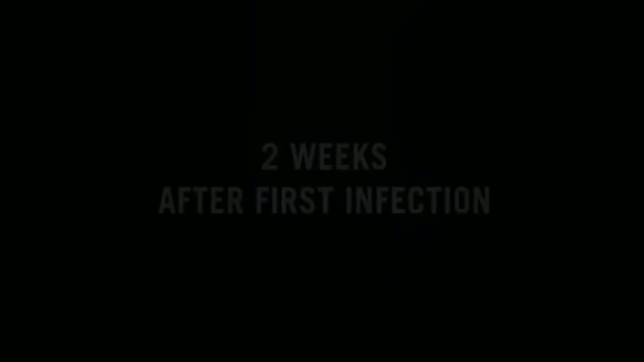 4K60帧《求生之路1电影版》章节 毫不留情 第1关 公寓 [SFM] 双语字幕