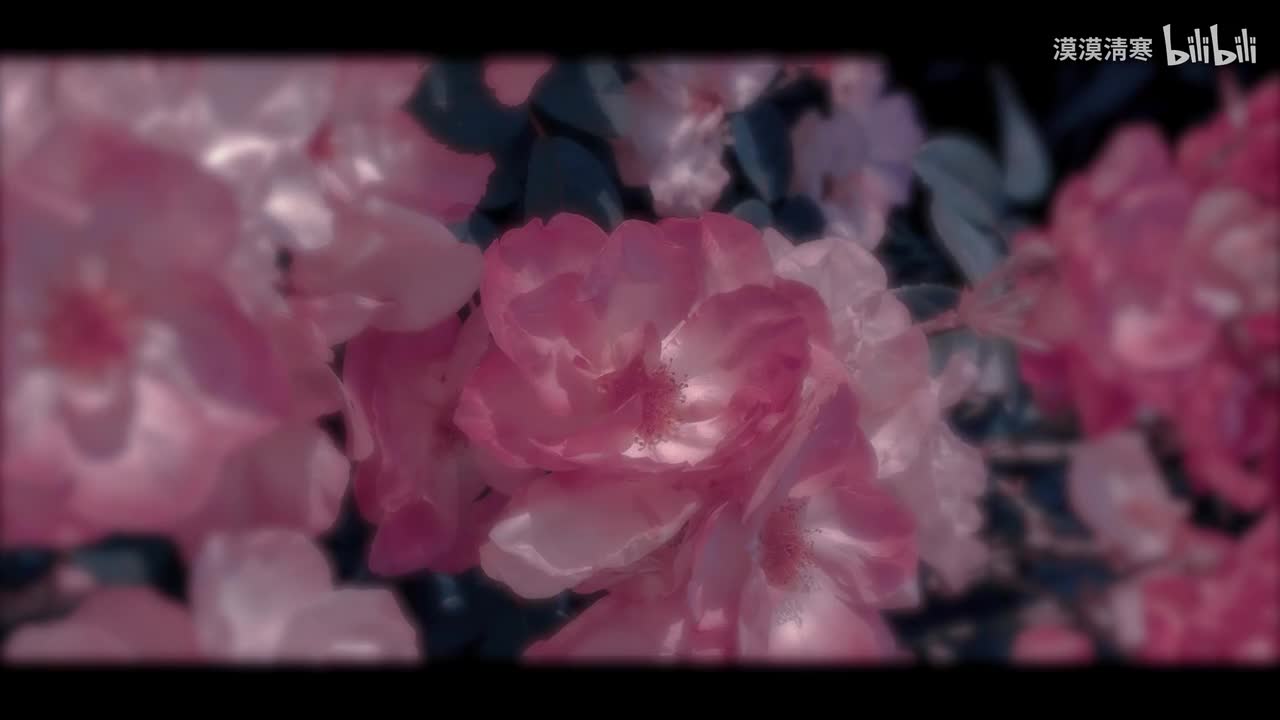 【动态歌词排版】岁月里的花（Live） | “牵你的手啊 在岁月种下鲜花”