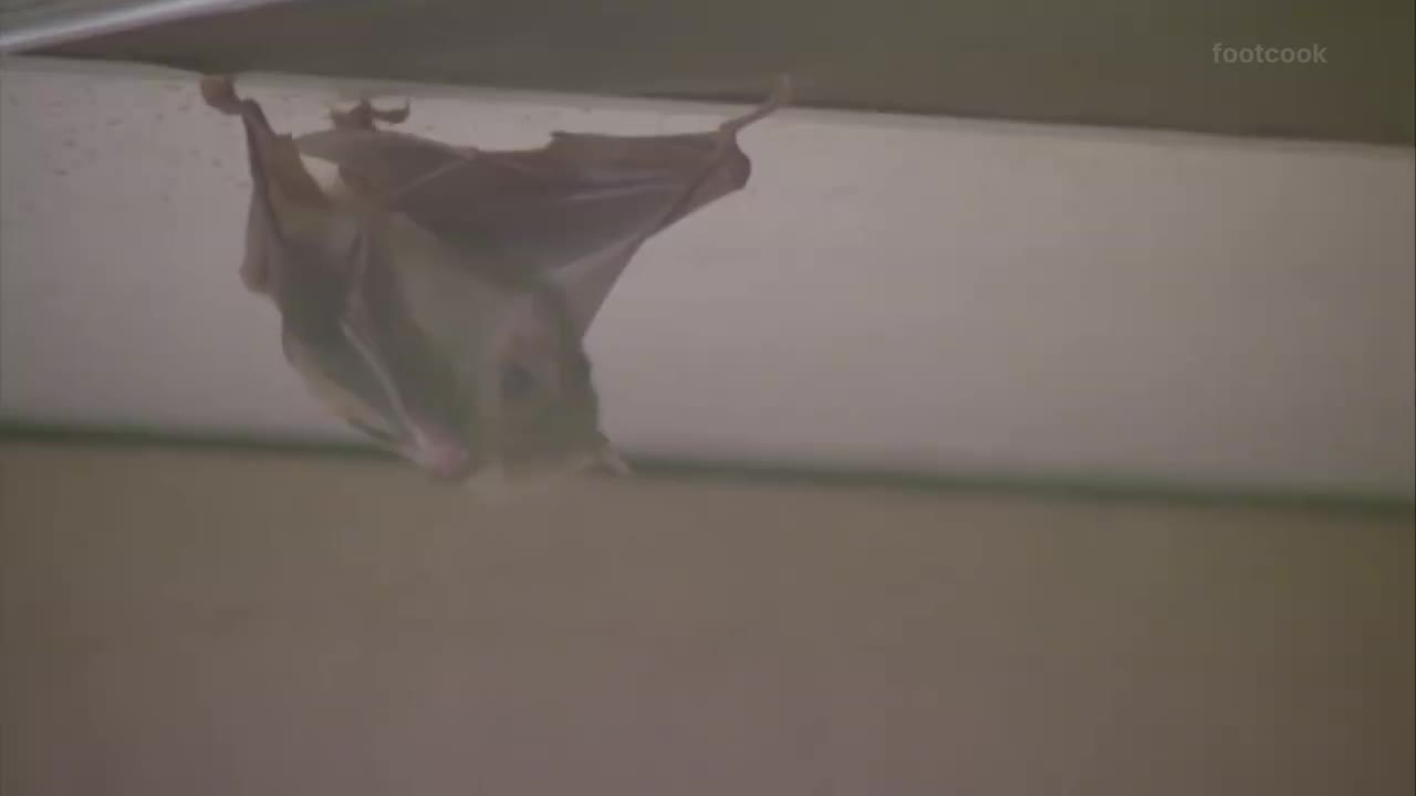 3-16.2 利润是钱的高级说法