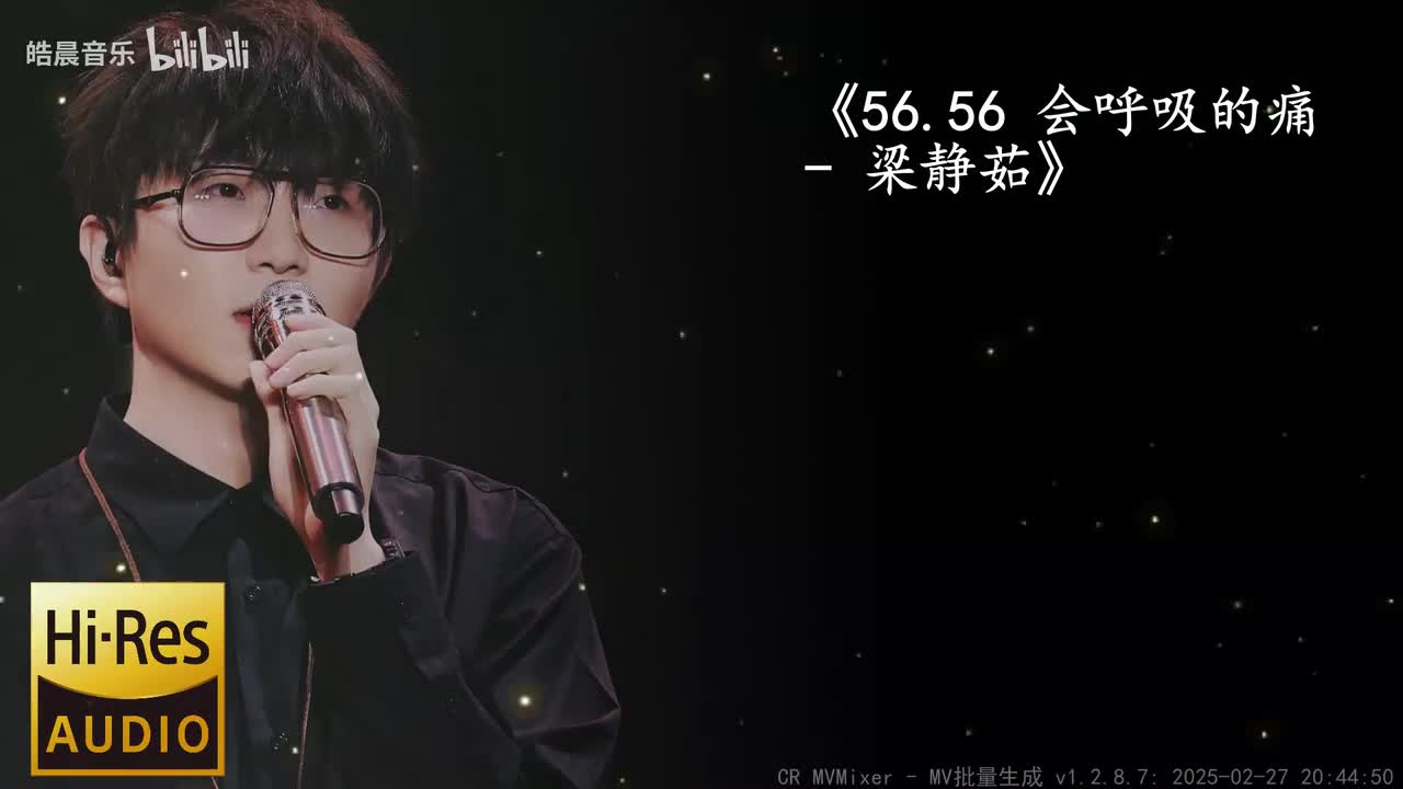 56.56 会呼吸的痛 - 梁静茹