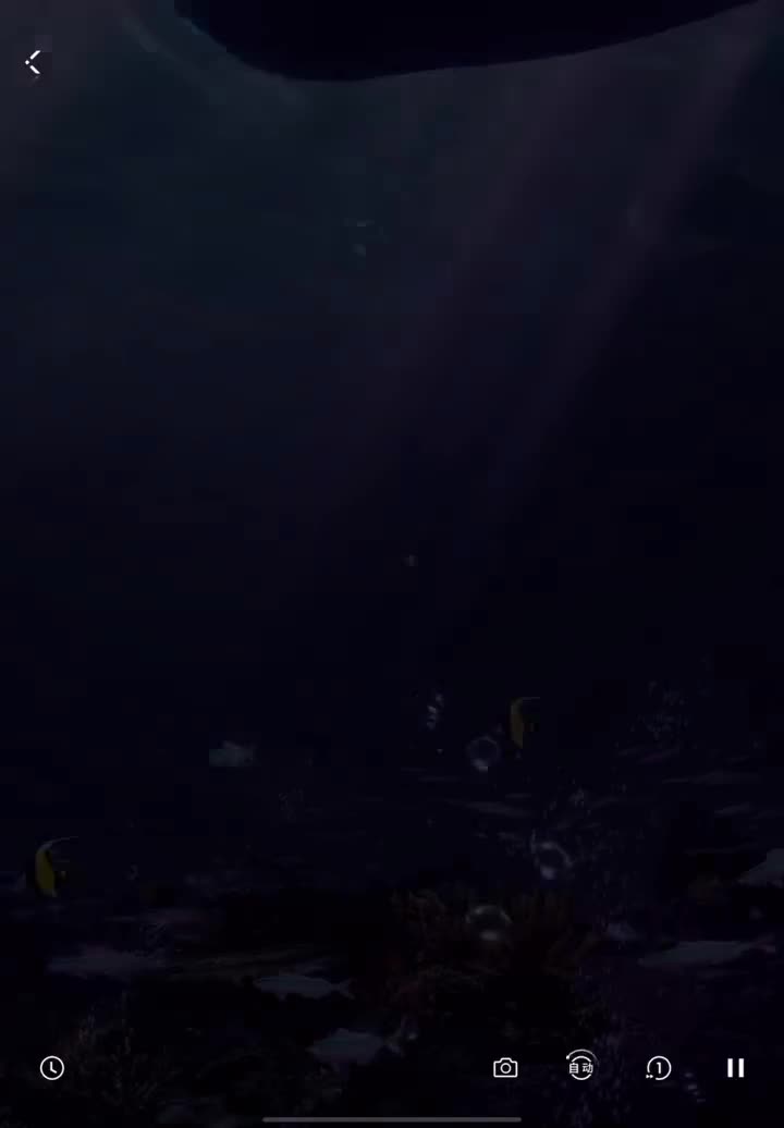 沉入无尽海·25生日卡