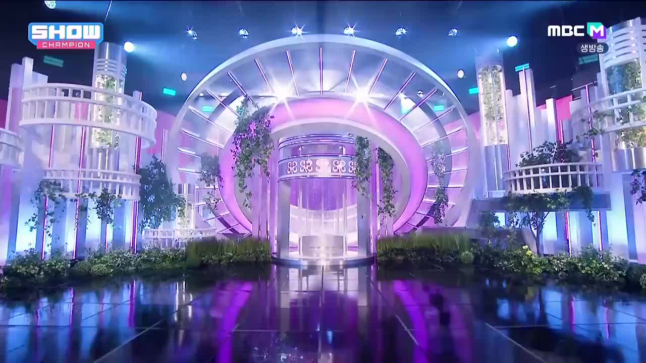 250305 冠军秀 The Chase