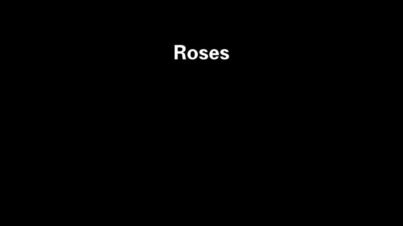 Roses (Teaser)