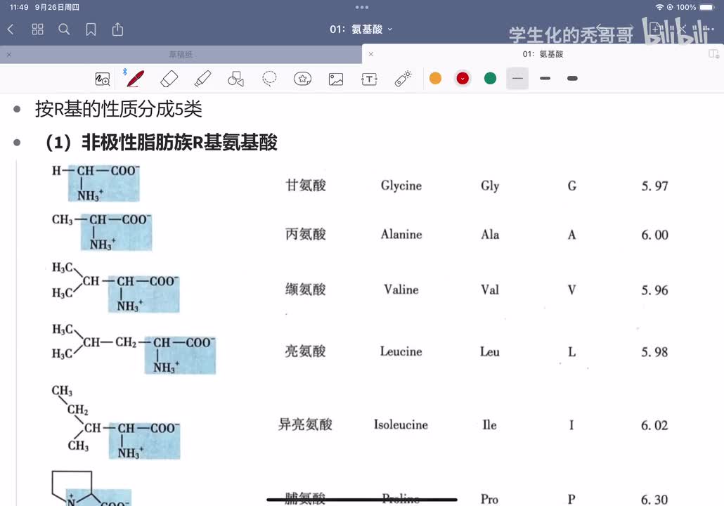 01：氨基酸三字母缩写