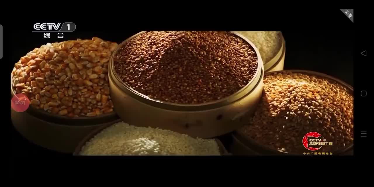 五粮液-2024年至今