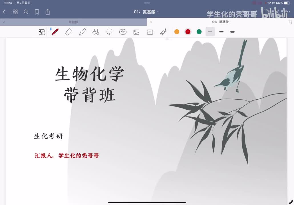 生化带背班导学