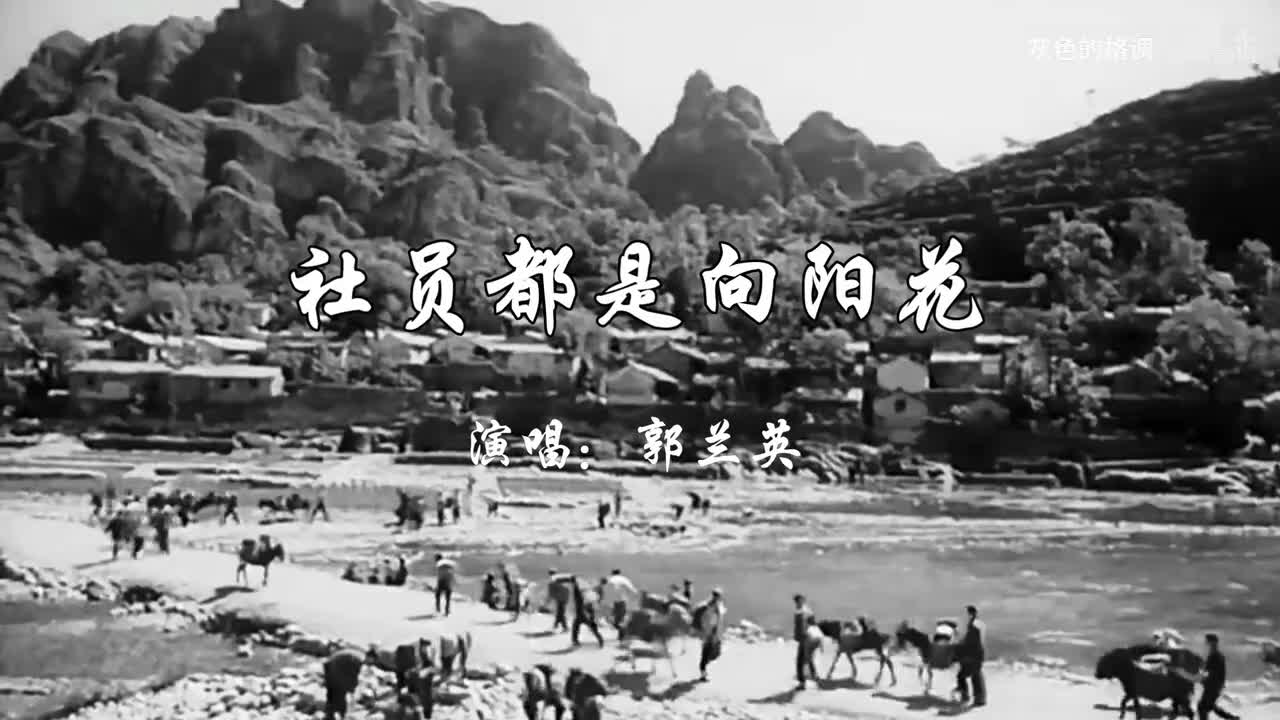 郭兰英《社员都是向阳花》-1080P