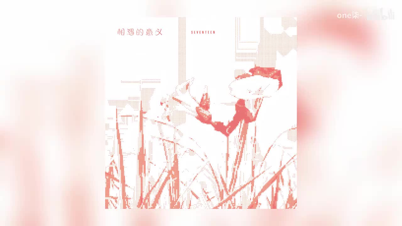 相遇的意义 - SEVENTEEN