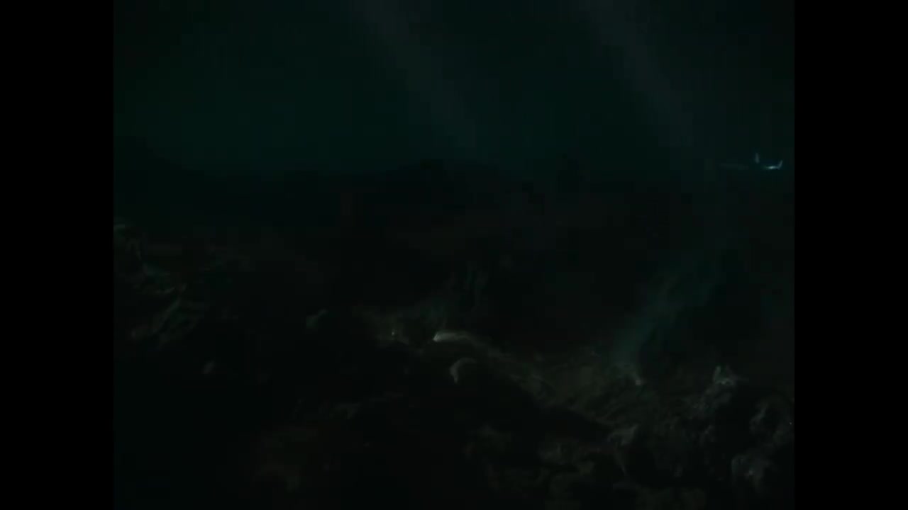 33.死神的侵略（上）