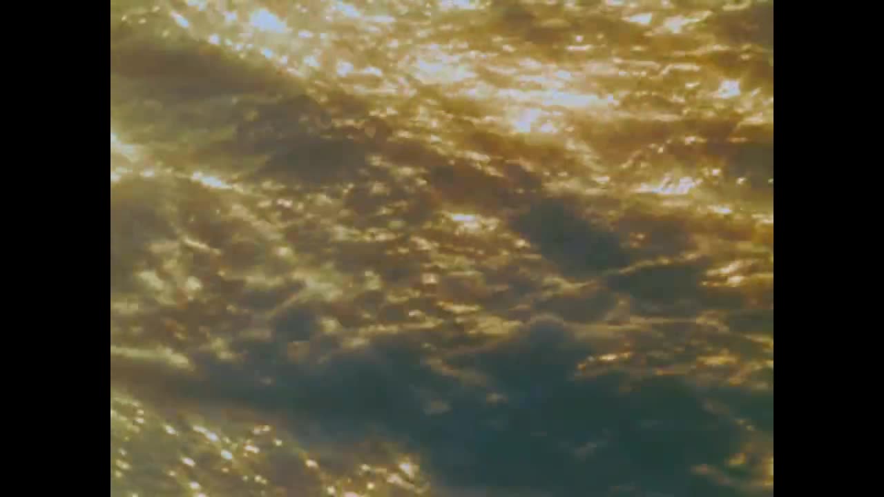 31.住着恶魔的花（上）