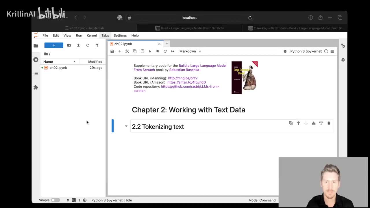 02-处理文本数据