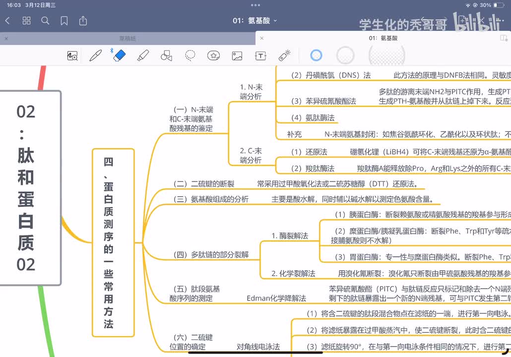 02：肽和蛋白质03