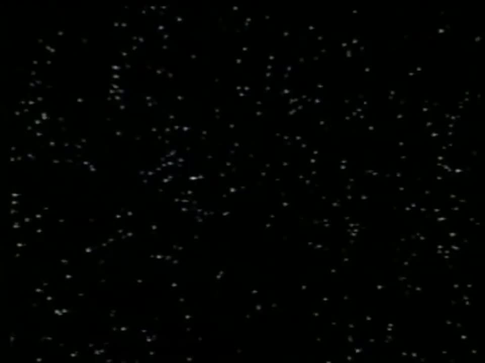 秦腔《庵堂认母》广雪琴 刘茹慧