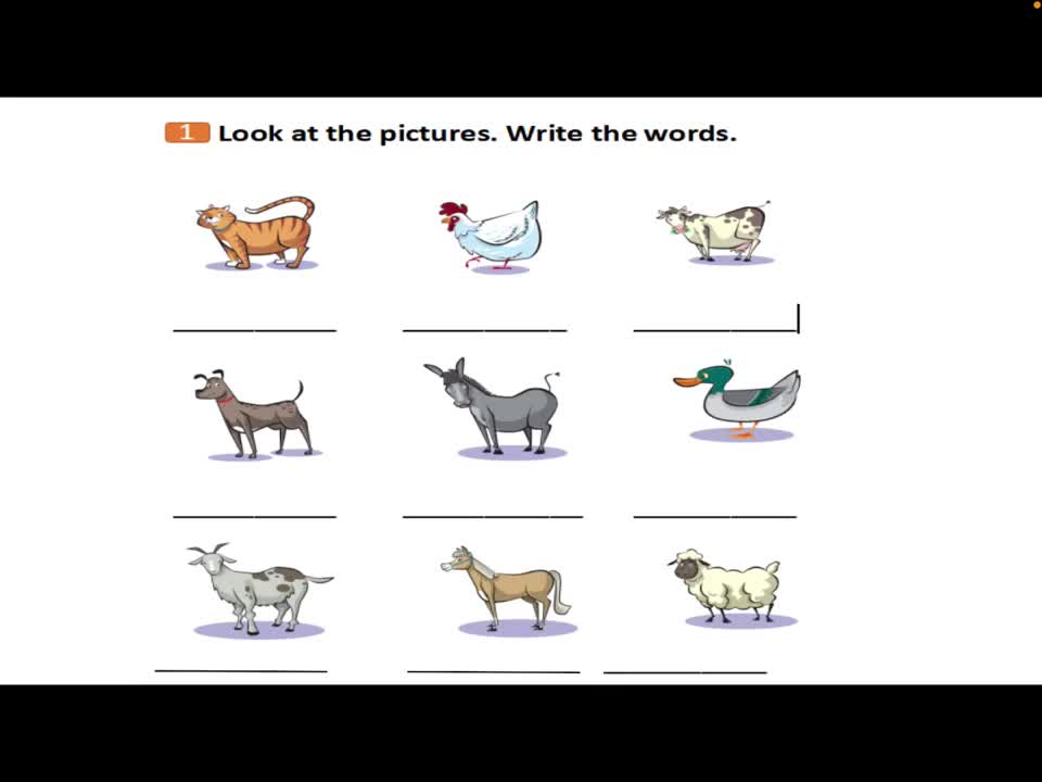 018.额外加餐课：U3词汇1 习题讲解