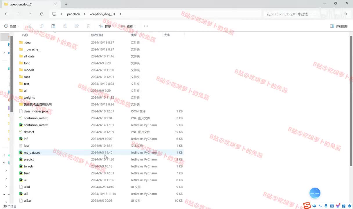 狗类识别系统-项目讲解视频