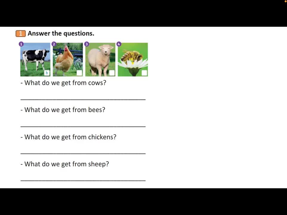 025.额外加餐课：U3 跨学科 习题讲解