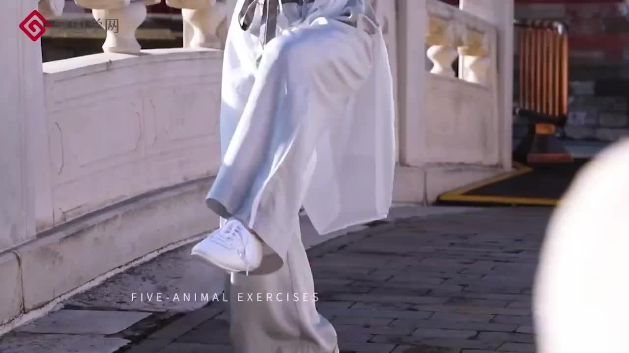 第14节 猿戏完整动作训练