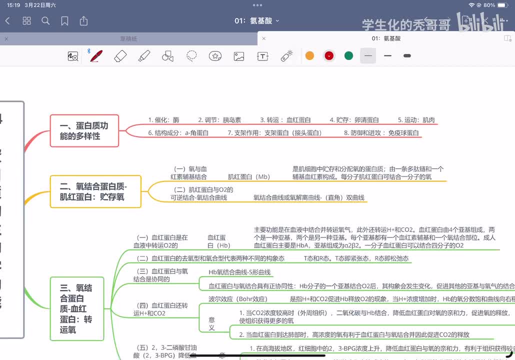 04：蛋白质的生物学功能01