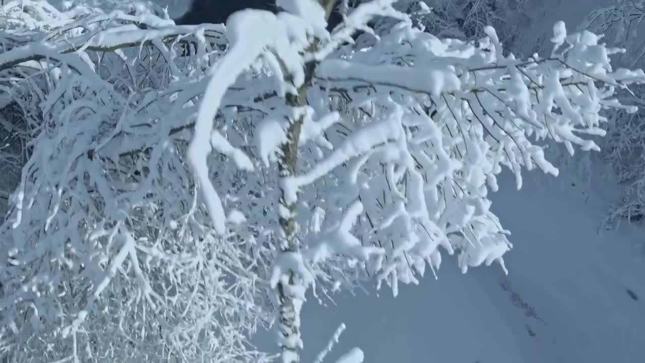 伏尔加河野性国度 大河诞生 1
