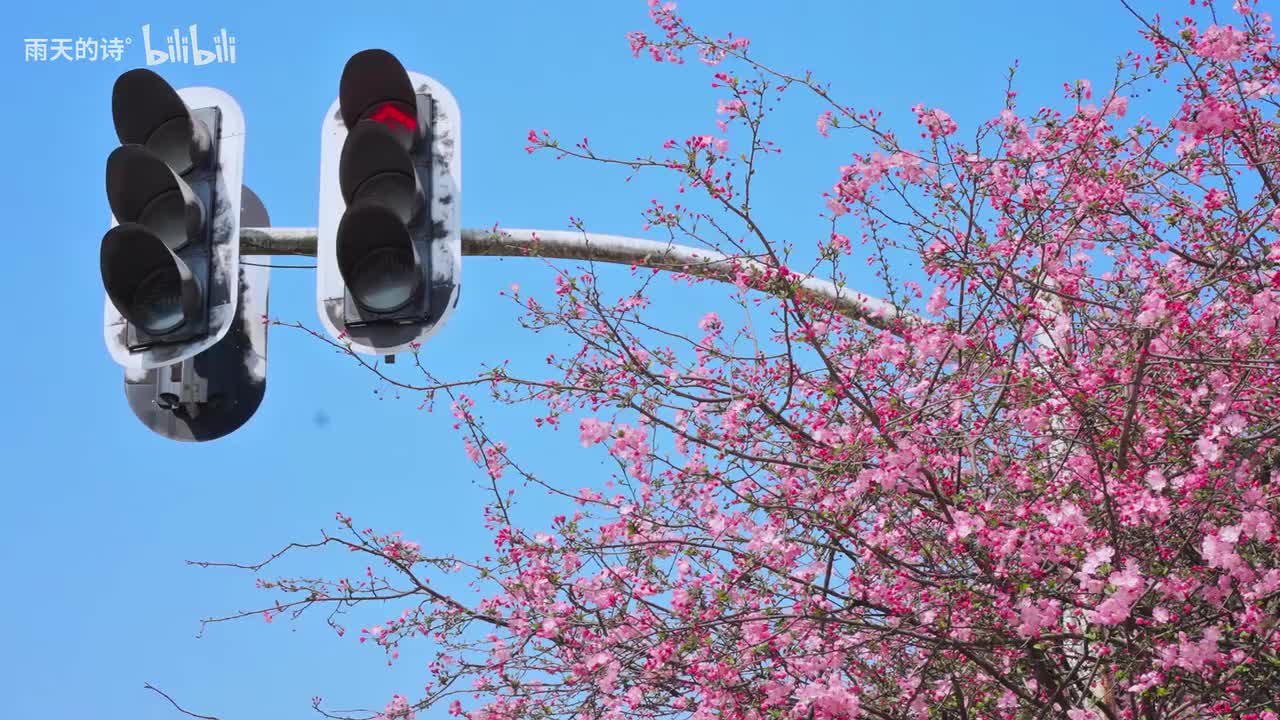 温柔的好天气和你一样