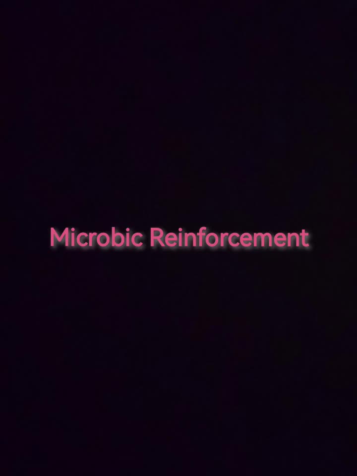 泰拉瑞亚Calamity Community Remix模组 疫噬之囚--Microbic Reinforcement（疫病之灵）
