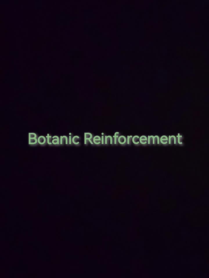 泰拉瑞亚Calamity Community Remix模组 棘丛之囚--Botanic Reinforcement（植生之灵）