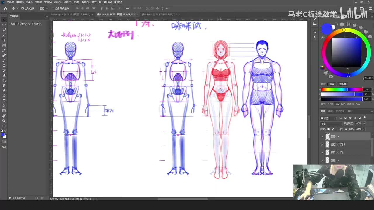 4.侧面男女结构区别