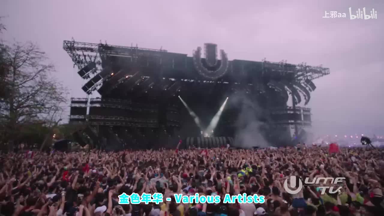 003. 金色年华 - Various Artists