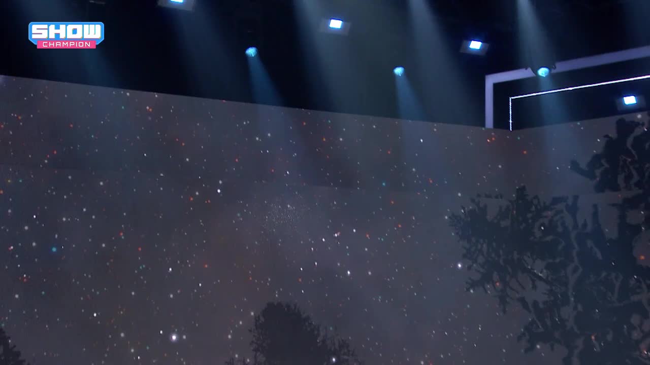 4.9 冠军秀 To The Woods