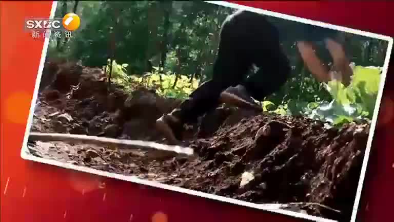 百家碎戏（2025-01-06） - 陕西网络广播电视台