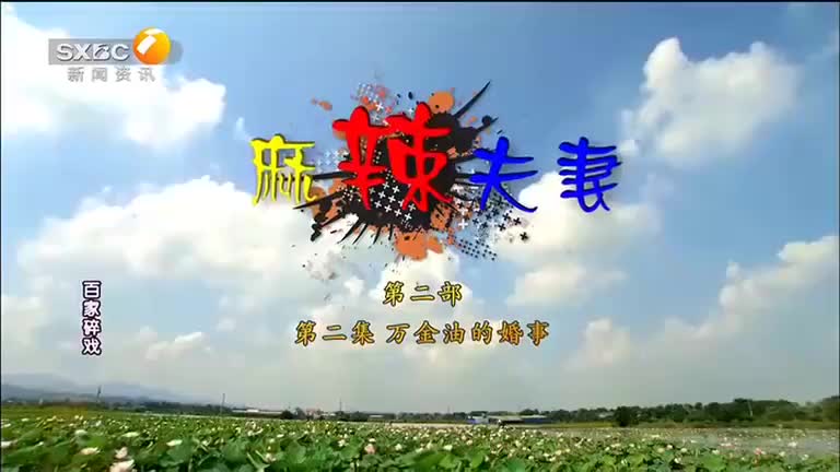 百家碎戏（2025-01-08） - 陕西网络广播电视台