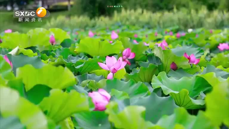 2025-02-11李老师的儿子们