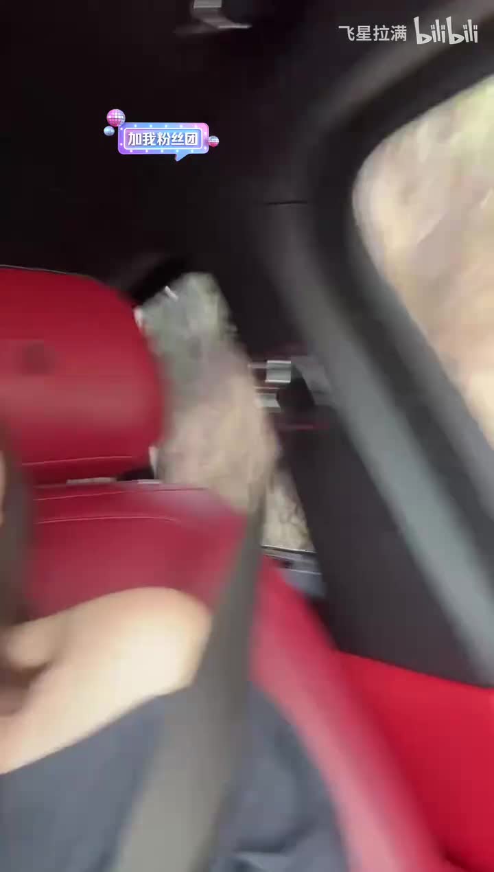 2025-04-06_160528_转码