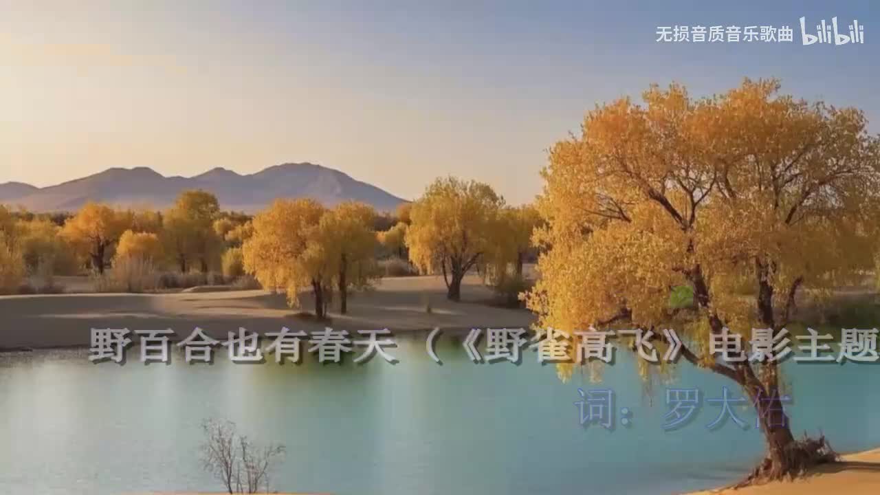 野百合也有春天-罗大佑