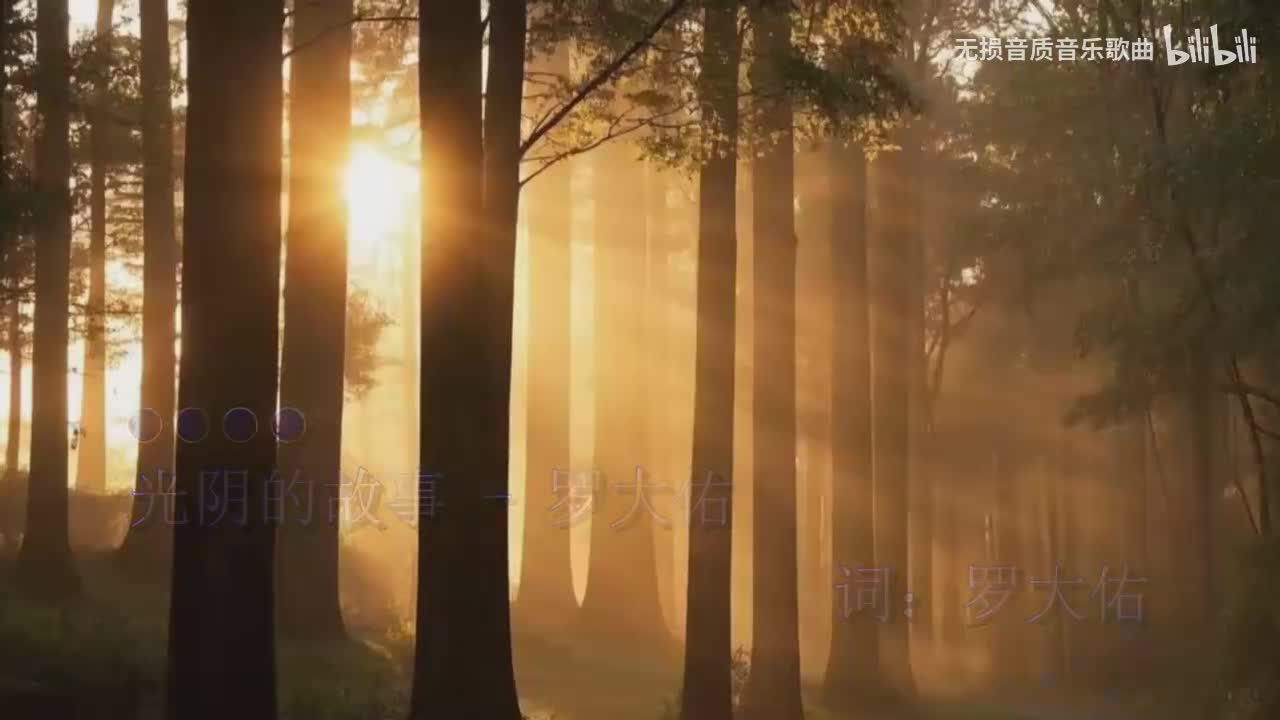 光阴的故事-罗大佑