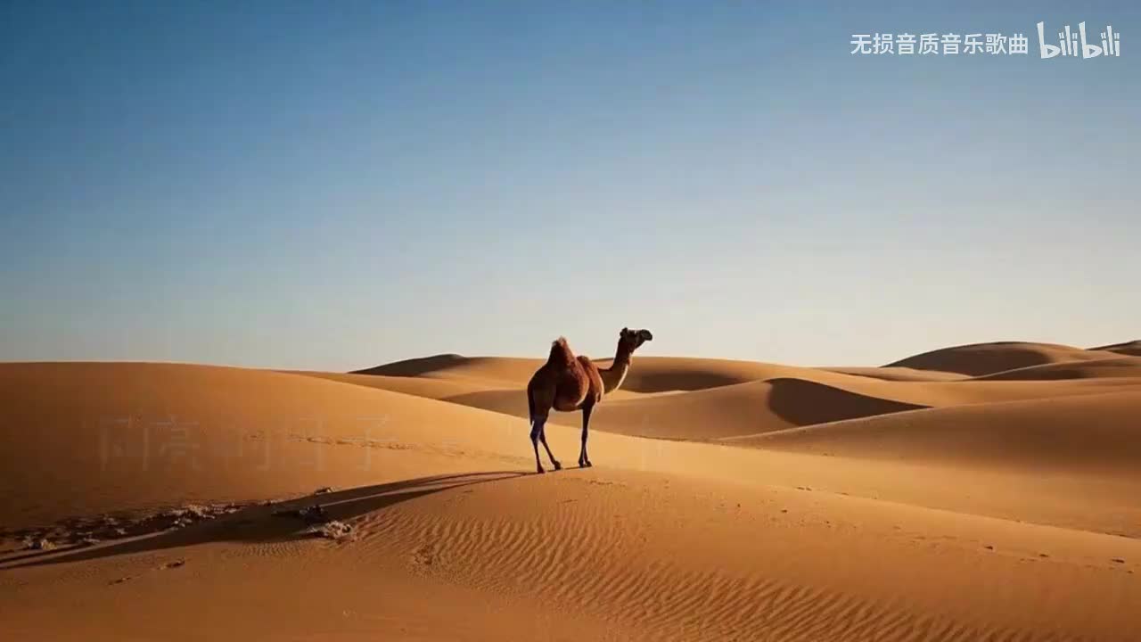 闪亮的日子-罗大佑