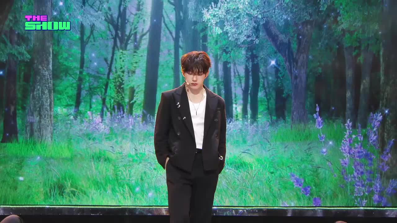 4.15 ts To The Woods