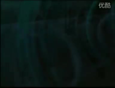 特种兵搏击擒拿训练全套——军体拳第三套实战应用上 4