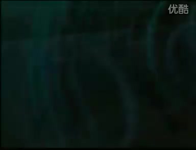 特种兵搏击擒拿训练全套——军体拳第三套实战应用下 1