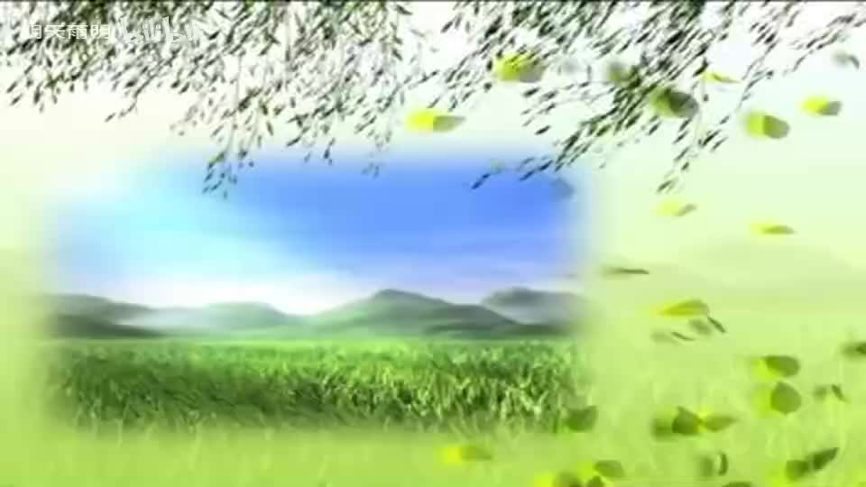 民间小调《刘拐脚》08 陈良福 卢玉萍