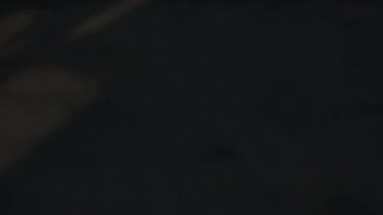 25（女漂）【过场动画】初遇椿