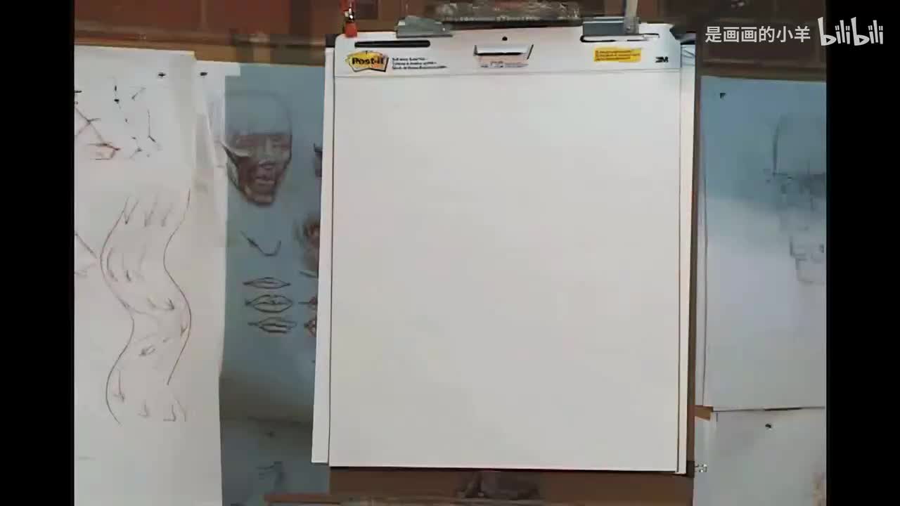 024_人体比例解剖