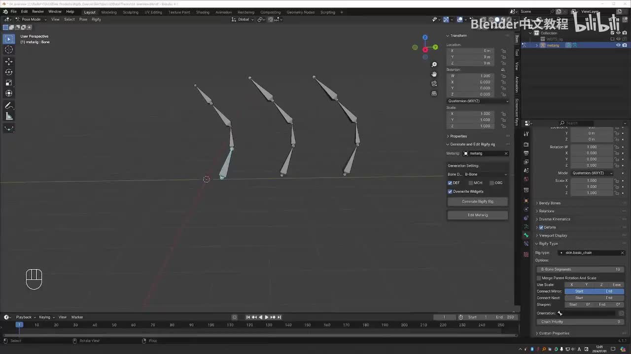 第1章：P4 皮肤类型概述