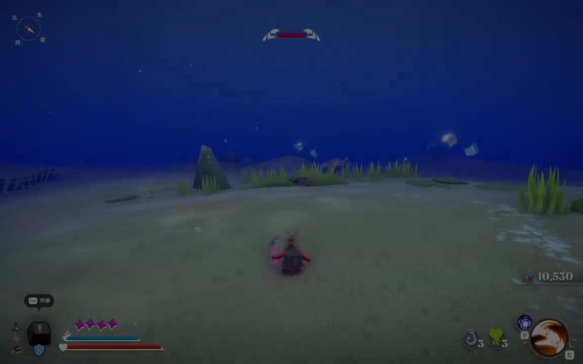 贪得无厌寄居蟹