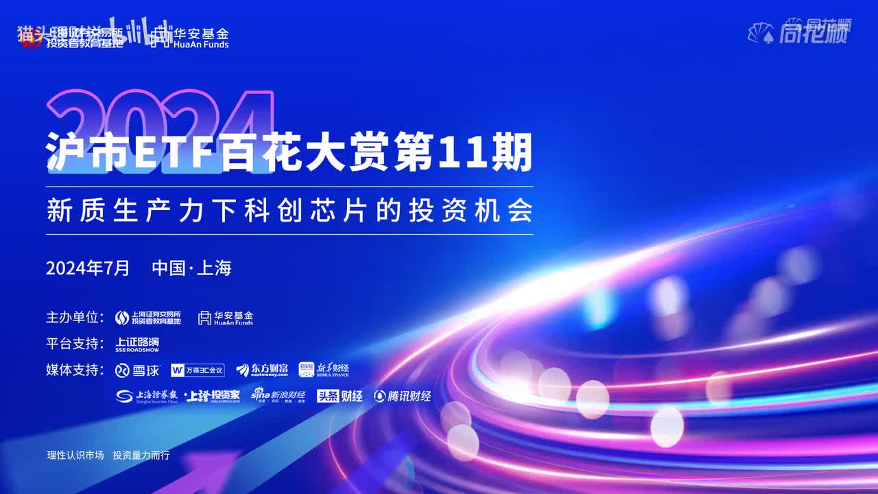 第11期：科创芯片的投