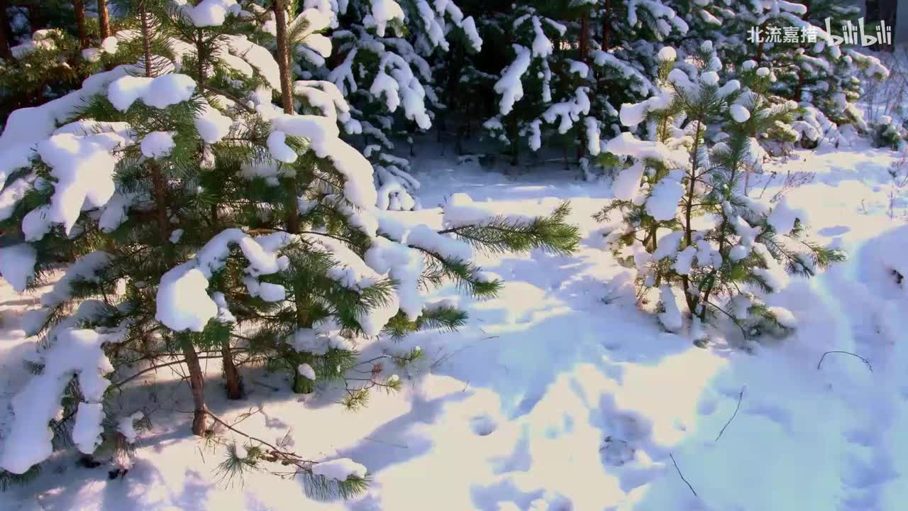 Return To Innocence-Enigma