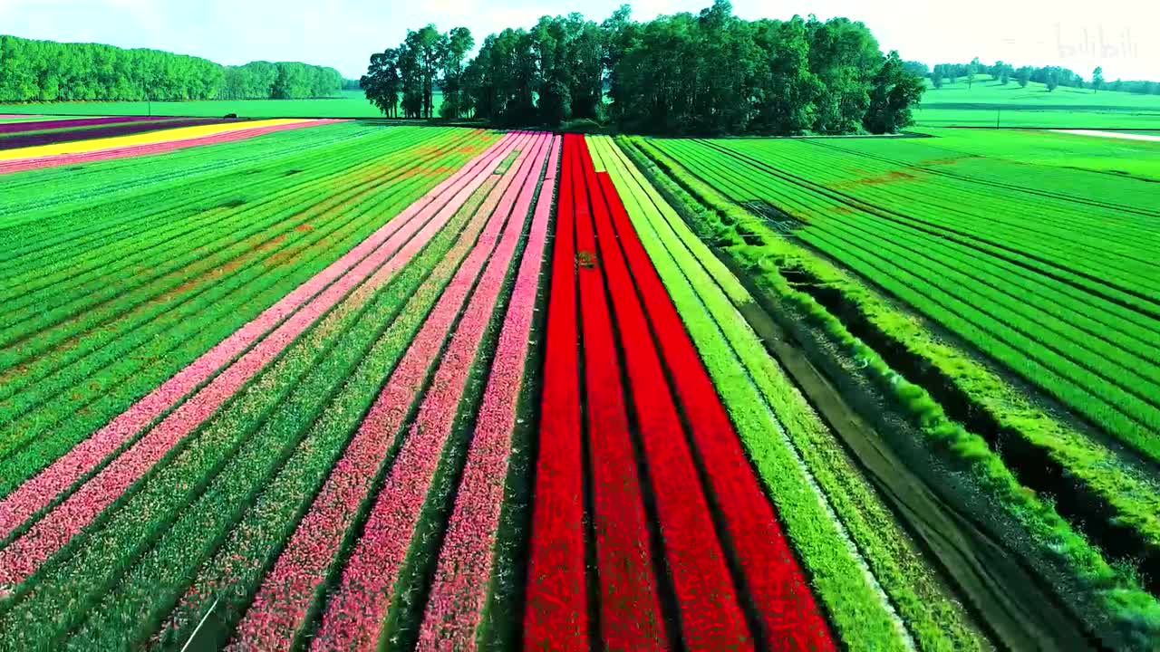 Songs From A Secret Garden-Secre