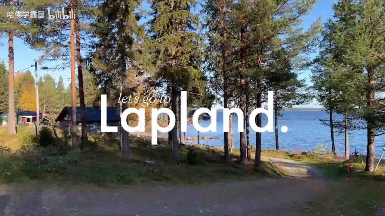 069-Let's go to lapland- tree cabin northern lights