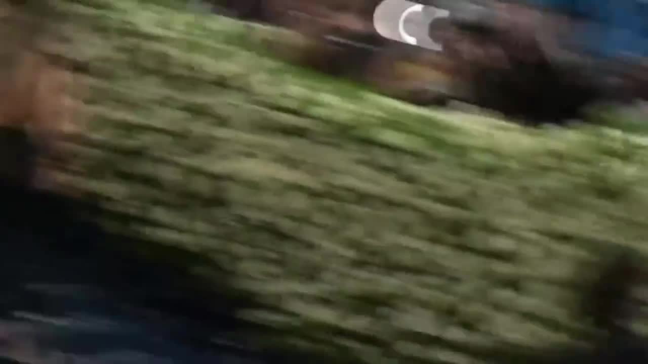 250506MetGala直播cut BOSS和BOSS的相遇！