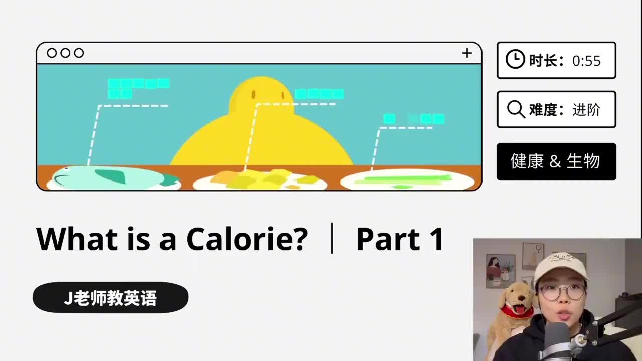 117_什么是卡路里｜第1课